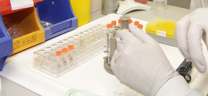 testing samples
