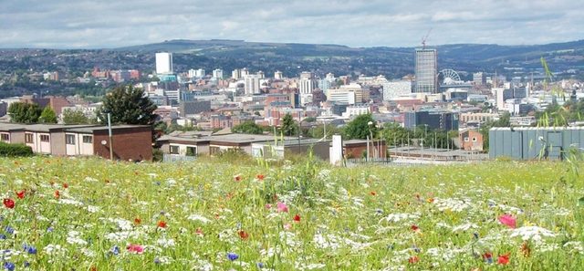 Sheffield Children’s begins search for new governors