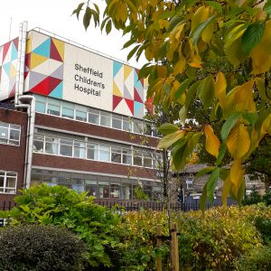 autumnal ED sheffield children's