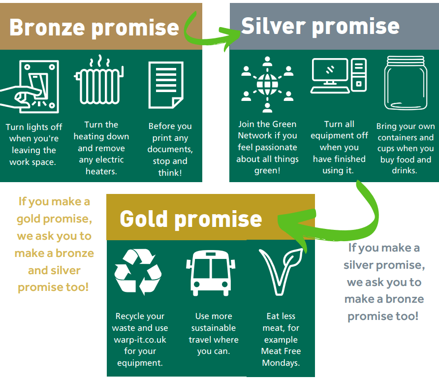 bronze silver and gold energy promises